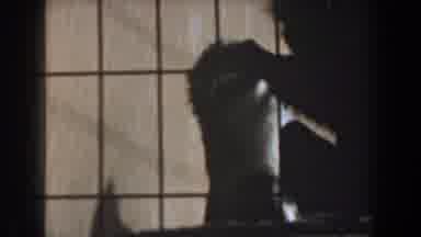 Burbank California (1961): Monkey Wildlife Love Cuddle And Kiss In Cage With Baby