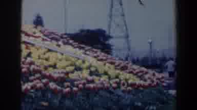Niagra Falls Canada (1963): Camera Pans Across The Floral Clock In Niagara Falls