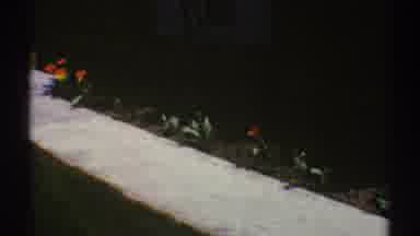 Clarendon Hills Illinois (1969): Sidewalk Bordered By Flowers At The Entrance Of A