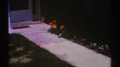 Clarendon Hills Illinois (1969): Red And Yellow Flowers On The Front Yard
