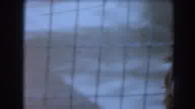 California-1961: Primate Sitting in Cage While Another Animal Paces