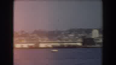 California (1961): View Of Sea lions Swimming In Ocean On A Clear Sunny Day