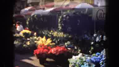 California (1961): To Love The Beauty Of Many Flowers To View Forever