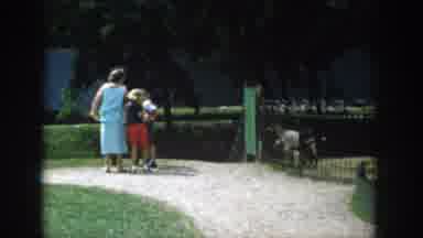 Wisconsin Dells Wisconsin (1954): Children Feeding Animals At A Petting Zion