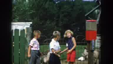 Wisconsin Dells Wisconsin (1954): Kids Playing With Goats On A Farm With The