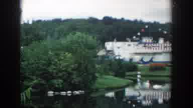 Wisconsin Dells Wisconsin (1954): Park With Lots Of Trees And Some Sort Of Event