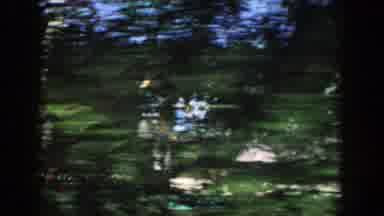Wisconsin Dells Wisconsin (1954): People Being Busy With Their Life