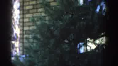 Wisconsin Dells Wisconsin (1954): An Old-Fashioned Wall Appears Among The