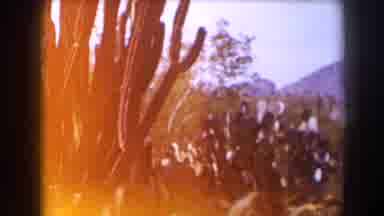 Texas (1958): Two Different Types Of Cacti In The Desert With A Mountain In The