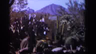 Texas (1958): Abundance Of Green Cacti And Other Desert Foliage Nestled In A Dry