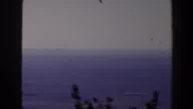 Texas (1958): Deep And Blue And Calm Ocean During the Day