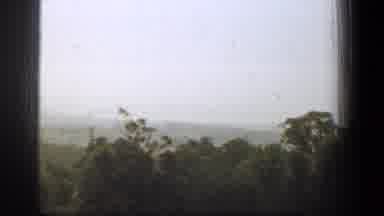 Washington DC (1961): Video Of Treetop Panning To The Right