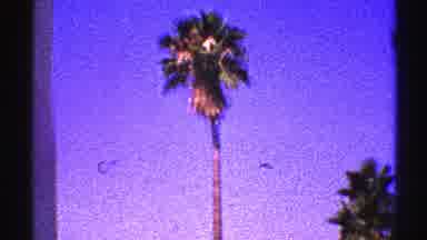 Nevada (1969): Miami Vacation On The Beach With The Family In Dayton