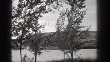 Washington (1938): A Breezy Day At The Park By The Sailing River