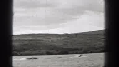 Washington (1938): Boats Zooming Around A Lake With A Field In The Background