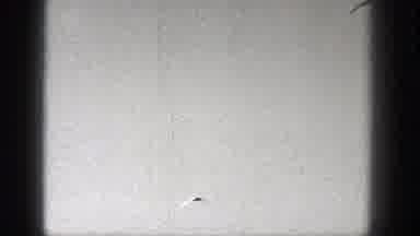Washington (1938): Man Wearing Straw Hat Launches Model Plane From Ground On A