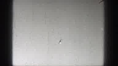 Washington (1938): An Old Style Private Airplane Flying Upside Down In The Sky