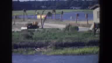 Saint Paul Minnesota (1971): A View Of Nature And Palm Trees Next To A Body Of
