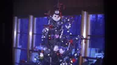 Saint Paul Minnesota (1971): A Wonderful Christmas Tree By The Window With Various