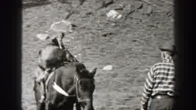 California (1938): Men Have Loaded Large Packages Onto Horses By A Crude Wood