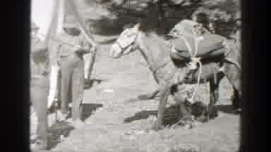 California (1938): A Horse Used For Transportation Carrying Load With Men Walking