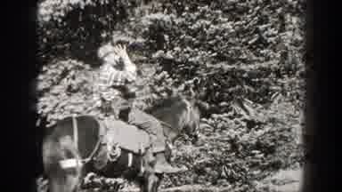 California (1938): Hunter With His Hunting Weapon Preparing For A Hunt In The Bush