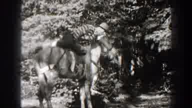 California (1938): A Man Wearing A Hat Mounts A Saddled Horse In Front Of Trees