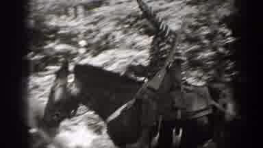 California (1938): Classic Cowboy And The Other Nothing Usual