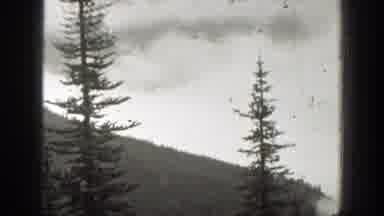 California (1938): Landscape Mountain Trees And Lots Of Vegetation