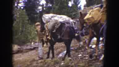 California (1938): Three Heavily Loaded Pack horses Follow In A Single Line A Man