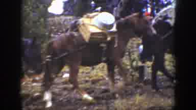 California (1938): Horses Carrying Good On Their Backs And A Man Standing Behind
