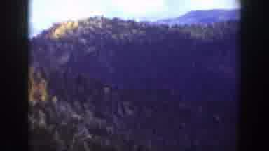 California (1938): Man And Horses Carrying Packs In California Mountains With