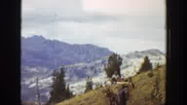 California (1938): Beside The Snowy Mountain There Are A Herd Of Goats Wandering