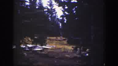 California (1938): Various Animals In The Silent And Lush Forest