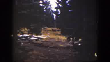 California (1938): In Woods With At Least One Distant Animal Possibly A Deer With