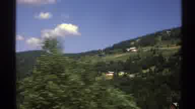 Norway (1976): A Green Landscape Full Of Pines Under The Blue Spring Sky