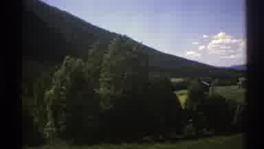 Norway (1976): Small Houses Are Seen Through The Green Trees While Moving Towards