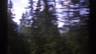 Norway (1976): View Of Conifers In The Foreground With Mountains Behind Taken From
