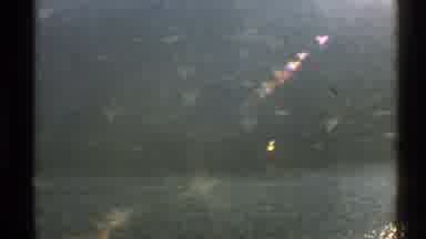 Norway (1976): Video Of Green Landscape With Mountains With Trees In The