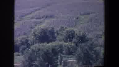 Iowa (1959): View Of Green Trees And Farmland On A Sunny Day