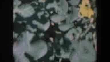 Iowa (1959): Birds Eye View Of Farmland