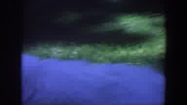 Iowa (1959): Beautiful White Dog Walking In Grassy Yard
