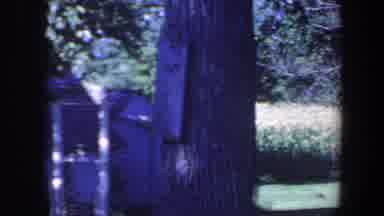 Iowa (1959): The Crops In The Field Behind The House Are Almost Ready To Be