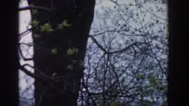 Novi Michigan (1961): A Caretaker Either Measuring The Distance Of One Object From