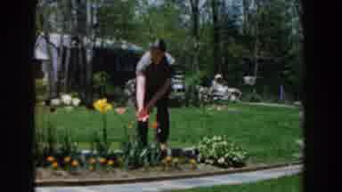 Novi Michigan (1961): The Man Is Admiring The Flowers In His Garden On A Beautiful