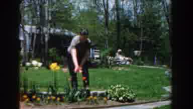 Novi Michigan (1961): Housewife Casually Conducts Her Gardening And Admires The