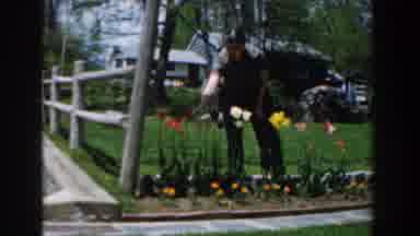 Novi Michigan (1961): Man Outside In Green Yard With Multicolored Flowers In Front