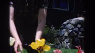 Novi Michigan (1961): Woman Picking Colorful Flowers From Her Beautiful Garden