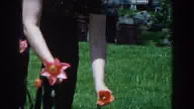 Novi Michigan (1961): Woman Organizes Her Colorful Flower Garden In Daylight
