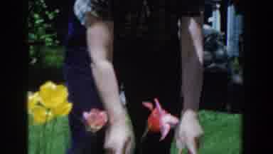 Novi Michigan (1961): Person Wearing Blue Pants Holds Red Flower By Stem On A